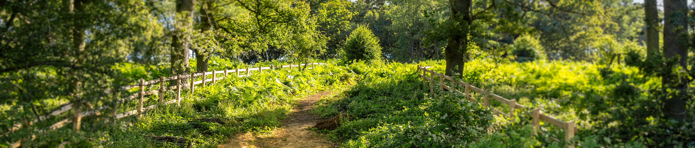 Hero chesterwell open spaces